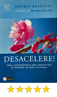 jeffrey brantley - desacelere (2008)