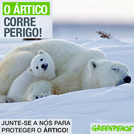 Greenpeace : Salve o Ártico